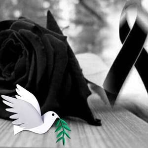 Meet your Posher, George